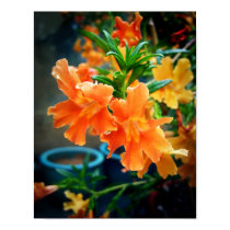 Musk Flowers posters