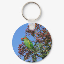 Musk Lorikeet keychains