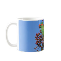 Musk Lorikeet Mugs
