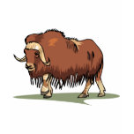 Musk Ox t-shirts