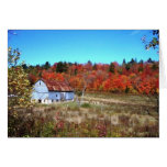 Muskoka Fall Card Muskoka Fall Card