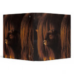 muskox, Ovibos moschatus, newborn calf between binders