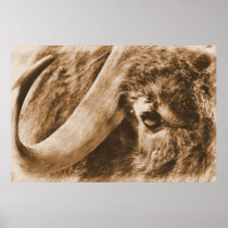 Muskox Poster