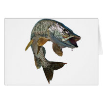 Musky 4 cards