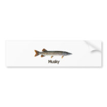Musky Logo (titled) bumper stickers