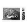 Mussel Sea Shell Sand Beach Photo Postage Stamp