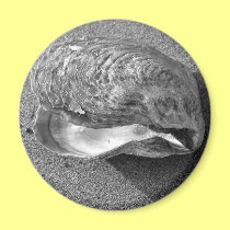 Mussel Seashell Sand Beach Magnet magnets