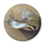 Mussel Seashell Sand Beach Magnet