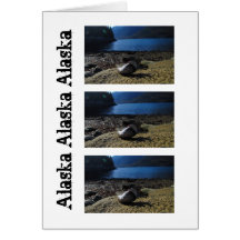 Mussel Shell Model; Alaska Souvenir Greeting Cards