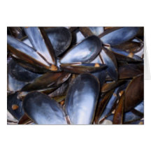 Mussel Shells Greeting Card