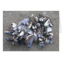 Mussels Greeting Cards