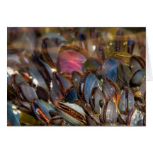 Mussels Under the Ocean Card