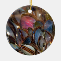Mussels Under the Ocean Ornament