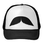 Mustache Hat
