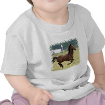 mustang-14.jpg t-shirt