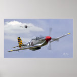 Mustang and Thunderbolt Poster