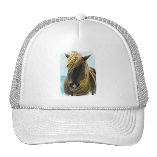 Mustang Baseball Hat