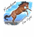 Mustang Fight for Freedom shirt