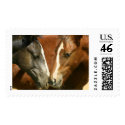Mustang foals stamp
