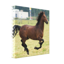 Mustang Galloping Canvas Print
