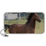 Mustang Galloping Speakers