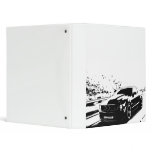 Mustang GT Coupe binders