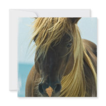 Mustang Horse Invitation