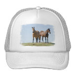 Mustang Horse Pair Baseball Hat