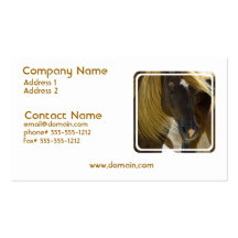 Mustang Horse Photo Business Card