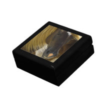 Mustang Horse Photo  Gift Box