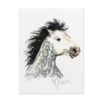 Mustang Horse Postcard by Critterpainter Mustang Horse Postcard