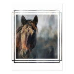 Mustang Horse Postcard