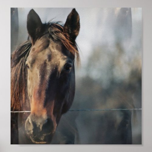Mustang Horse Poster Print print 