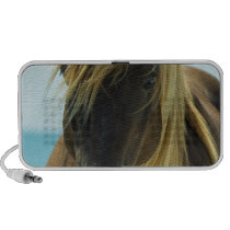 Mustang Horse Speakers