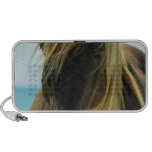 Mustang Horse Speakers