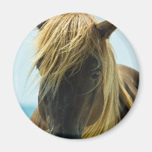 Mustang Magnet