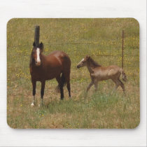 Mustang mare & foal mousepad