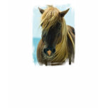 mustang, mustang horse, mustangs, mustang wild