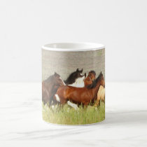 Mustang Mug mugs