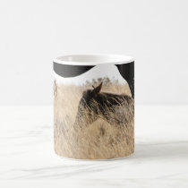 Mustang Mugs mugs