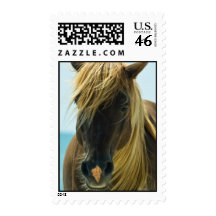 Mustang Postage Stamp