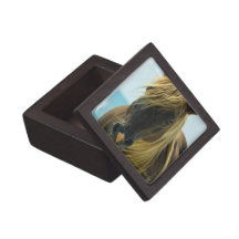 Mustang Premium Gift Box
