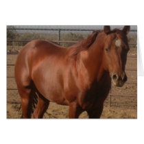 Mustang-Spirit Card