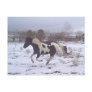 Mustang-Spirit Postcard