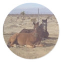 Mustang-Spirit Stickers