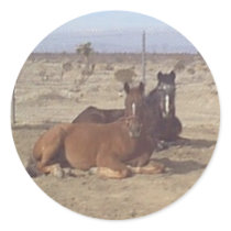 Mustang-Spirit Stickers by mustangspirit Mustang-Spirit Stickers