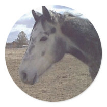 Mustang-Sprit Stickers