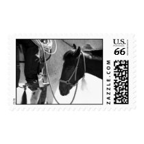 Mustang Western Stamp stamps