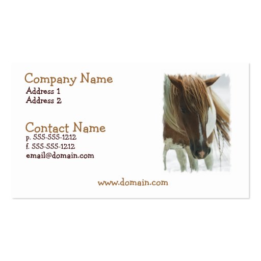 Mustang Wild Horse Business Card (front side)