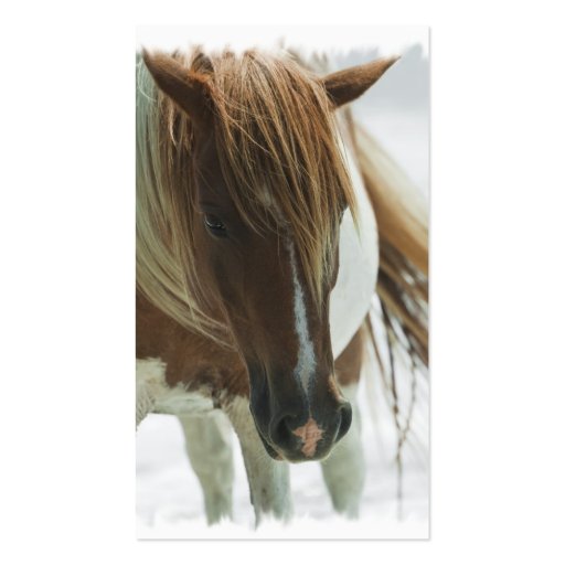 Mustang Wild Horse Business Card (back side)